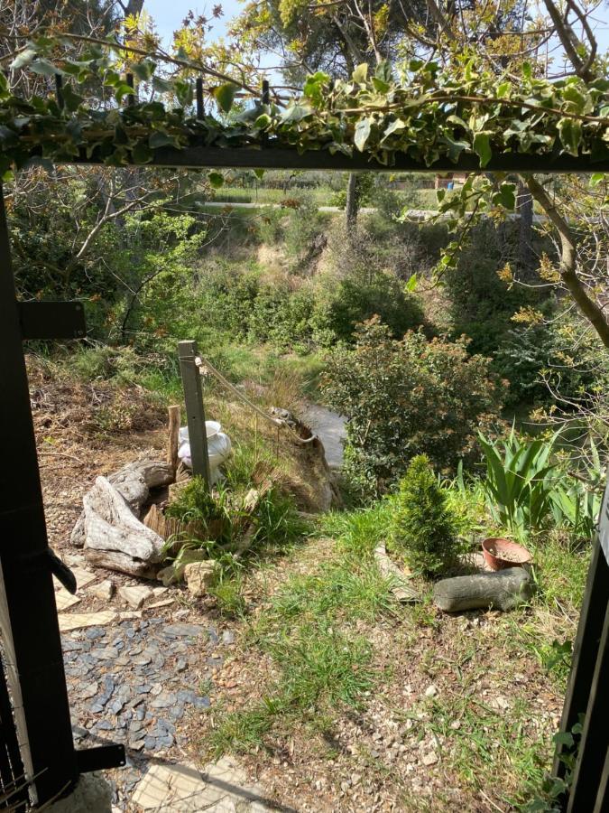 Suite Spa Acces Autonome Beaucaire  Exterior photo